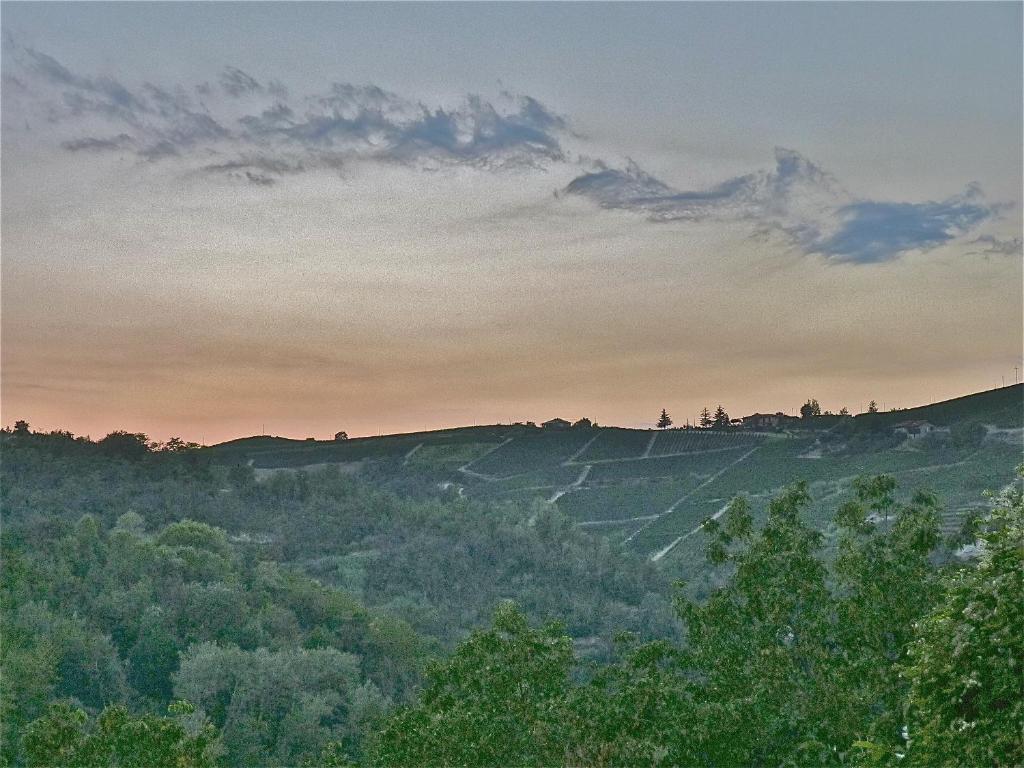 B&B Mario & Mario Trezzo Tinella Dış mekan fotoğraf